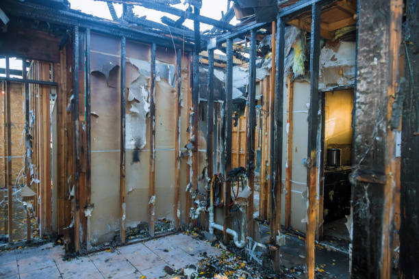 Professional Smoke Odor Removal technician working in Oldsmar, FL