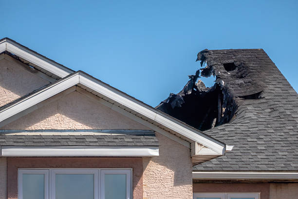 Top rated local Smoke Odor Removal specialists in Oldsmar, FL